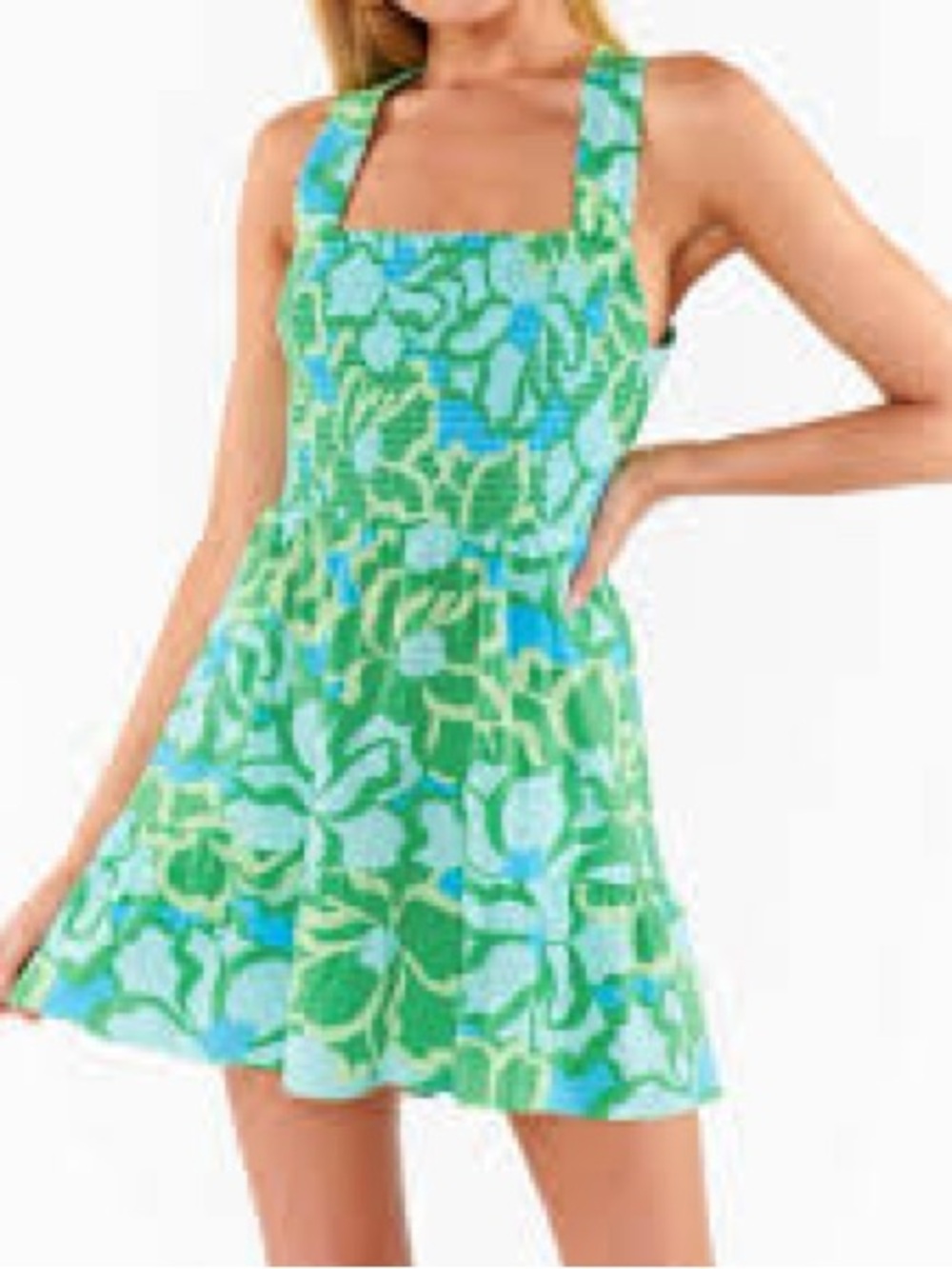 Show Me Your MuMu Revolve Collins Green and Blue Floral Mini Dress